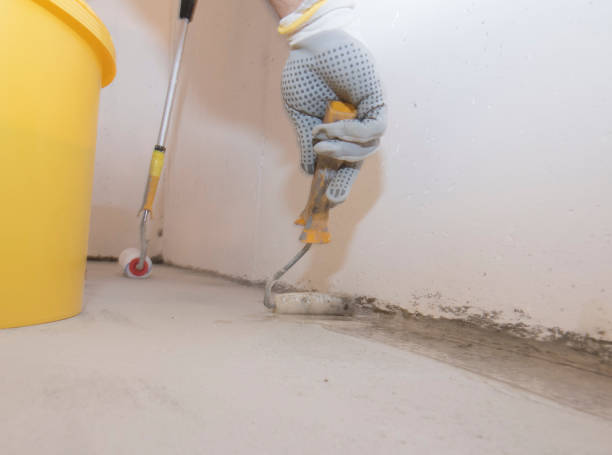 Emergency Pest Control in Crest, CA